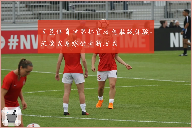 五星体育世界杯官方电脑版体验，沉浸式看球的全新方式