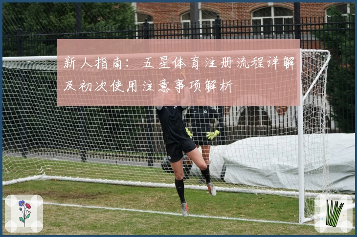 新人指南：五星体育注册流程详解及初次使用注意事项解析
