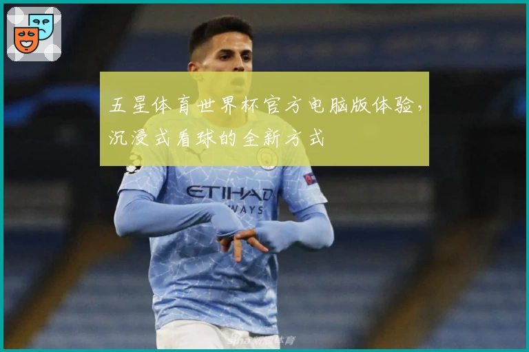 五星体育世界杯官方电脑版体验，沉浸式看球的全新方式